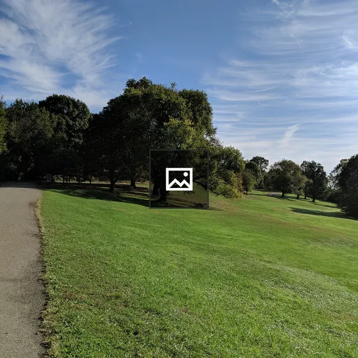 Green Field with Trees