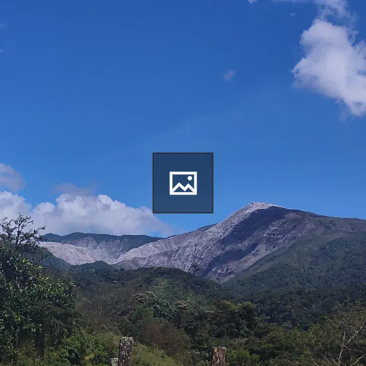 Mountain landscape with forest