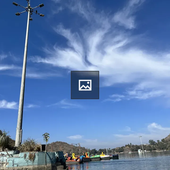 Lake scene with paddle boats