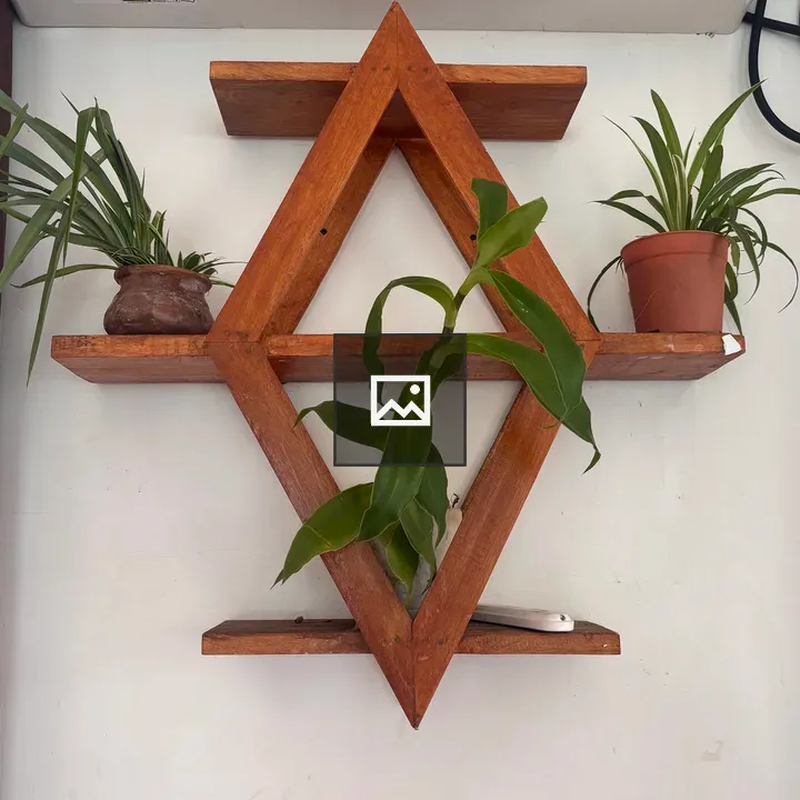Geometric wooden shelf with plants