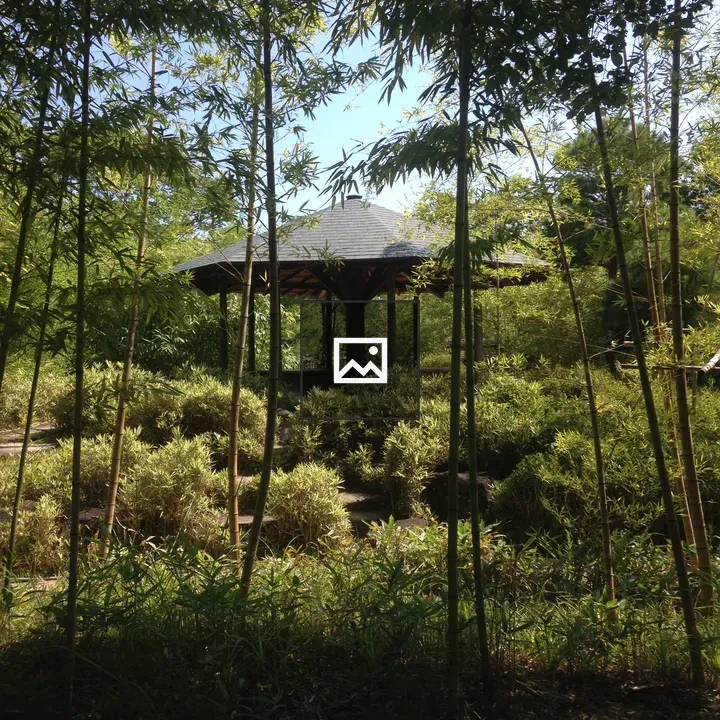 Gazebo in bamboo copse