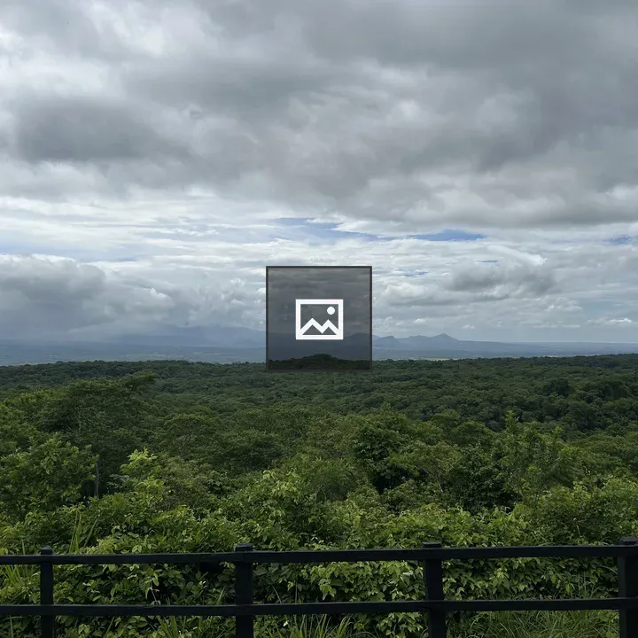 Panoramic Forest Under Clouds