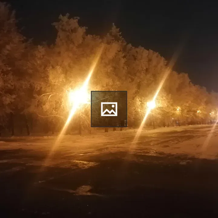 Nighttime row of frosted trees