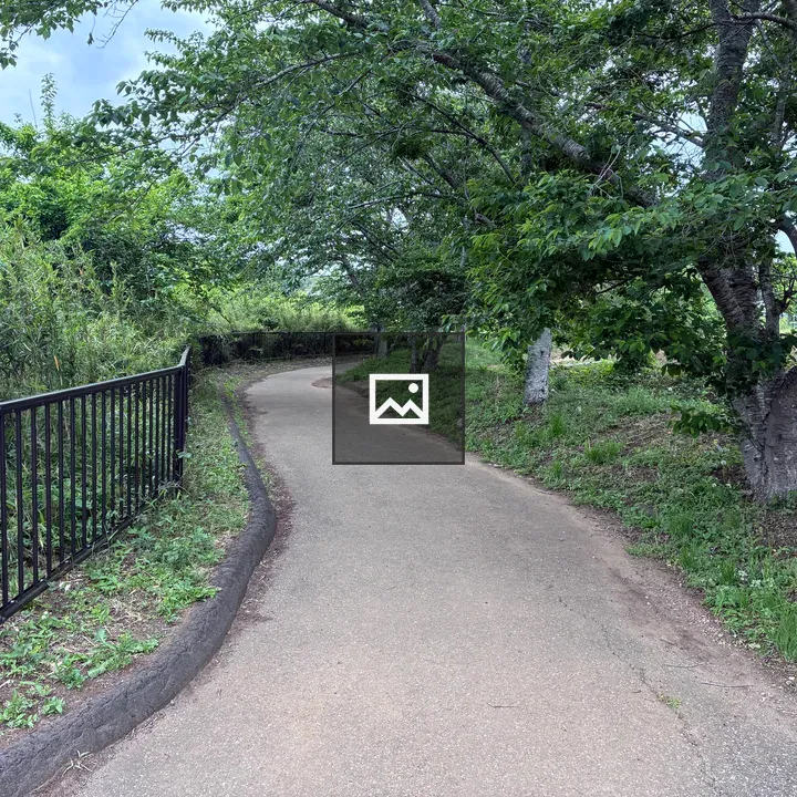 Serene walking trail with trees and fence