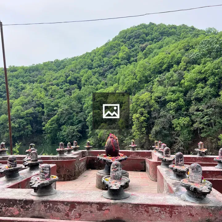 Stone Shiva Lingams on Platform