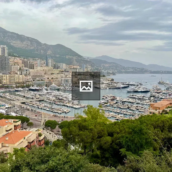 Monte Carlo Harbor Scene