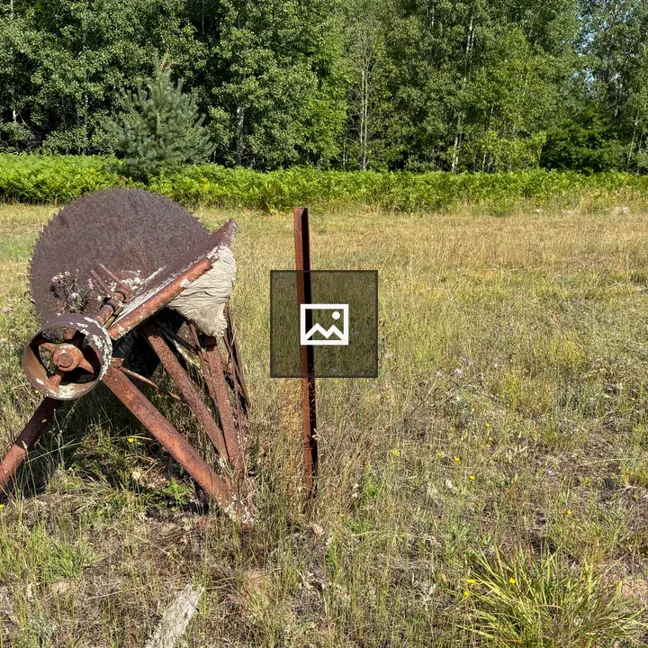 Old abandoned saw in field