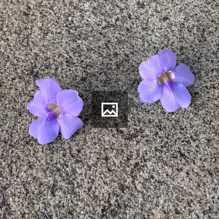 Two Purple Flowers on Gray Surface