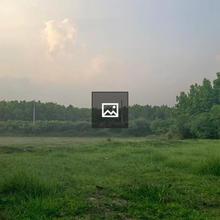 Serene green field to forest line
