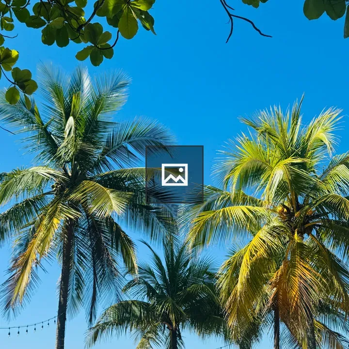 Tall Palm Trees Against Sky