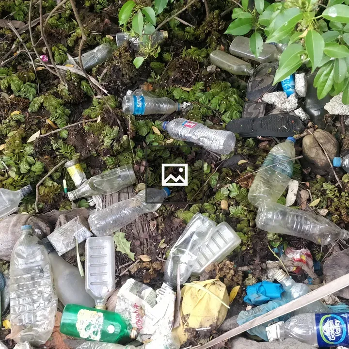 Plastic waste in river