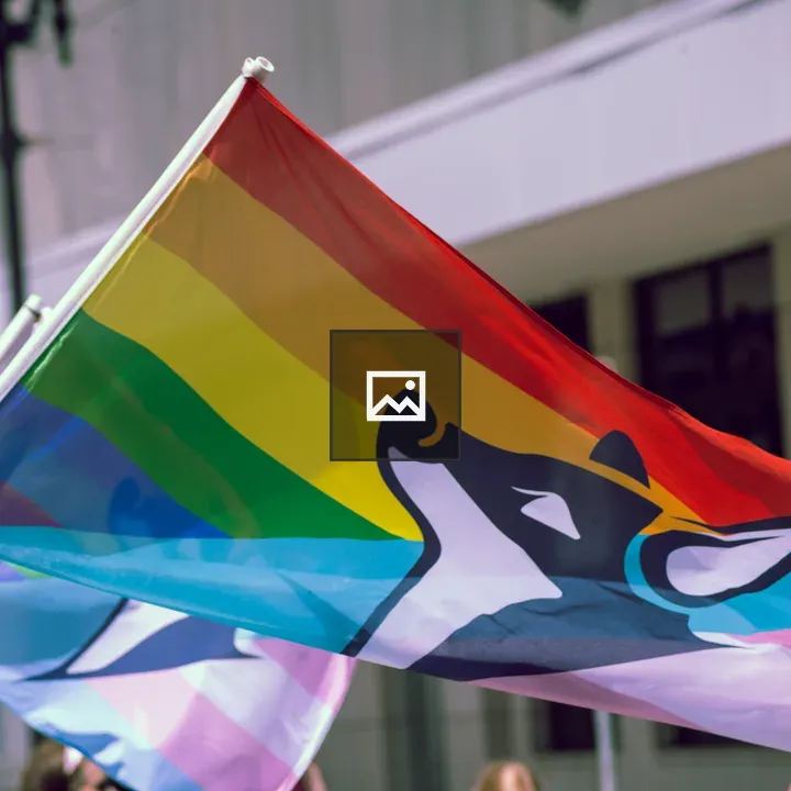 Pride flag with husky face