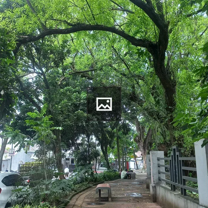 Sidewalk with trees in Bandung