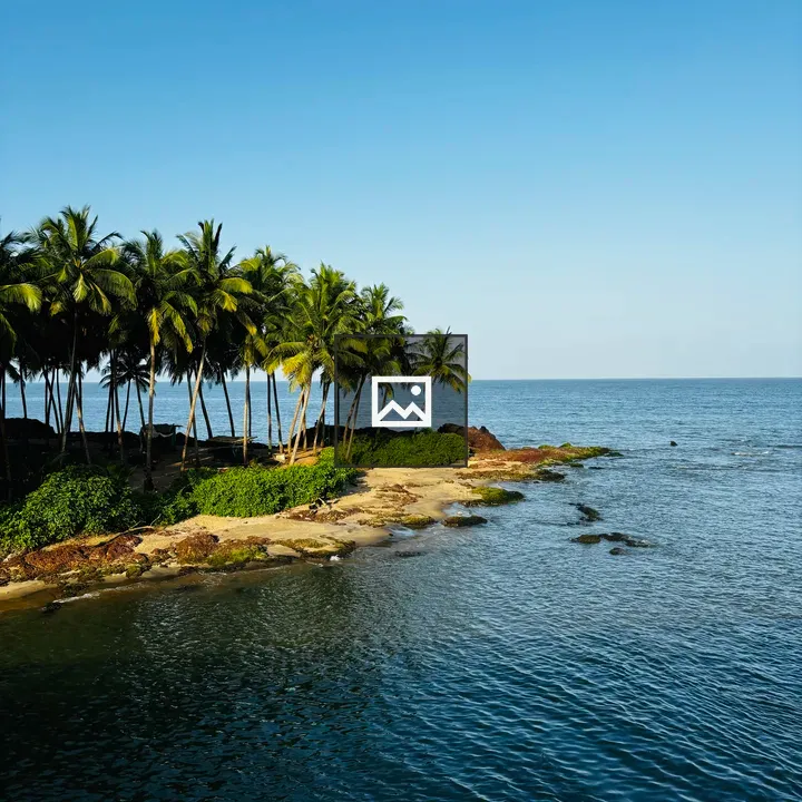 Palm Trees at Kadalundi Nagaram Beach