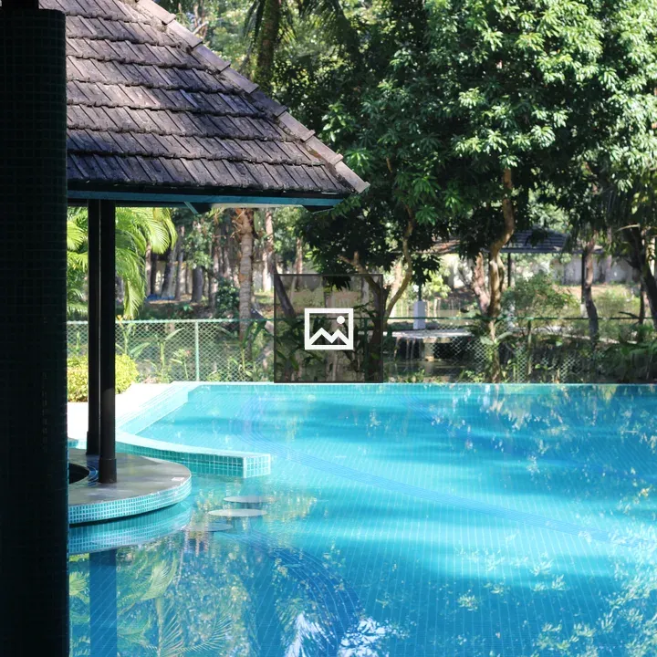 Outdoor pool with wooden structure