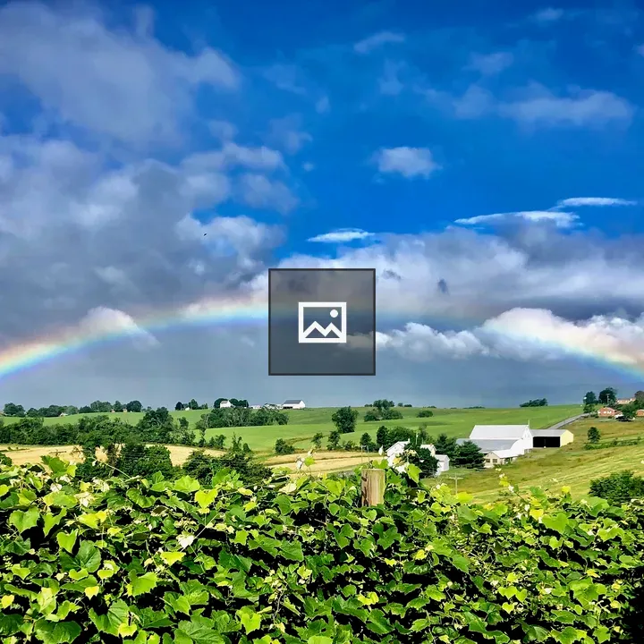 Summer rainbows over gardens