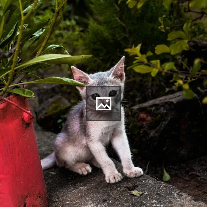 Cat in a Flowerpot