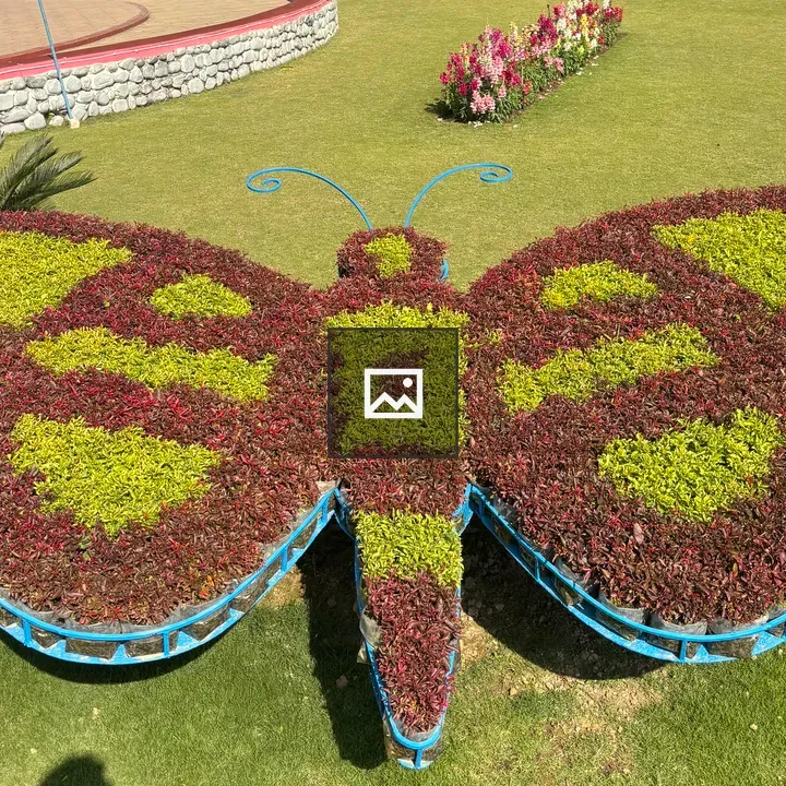 Decorative butterfly-shaped plant arrangement