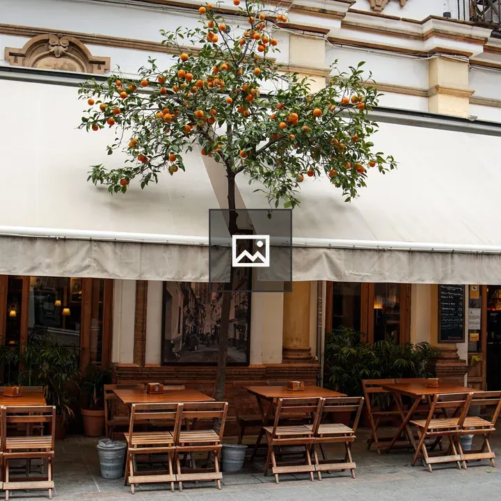 Outdoor café with awning and orange tree