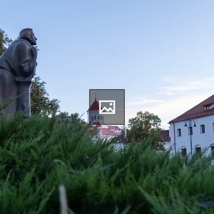 Adam Mickiewicz Statue and Cathedral Dome