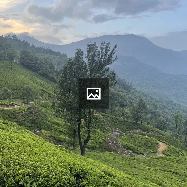 Green Hills of Munnar Tea Plantations