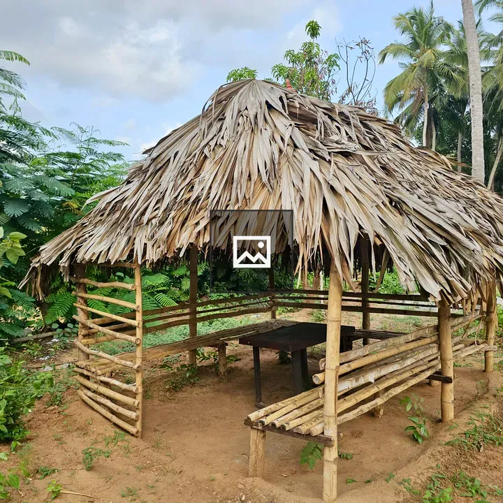 Traditional bamboo hut