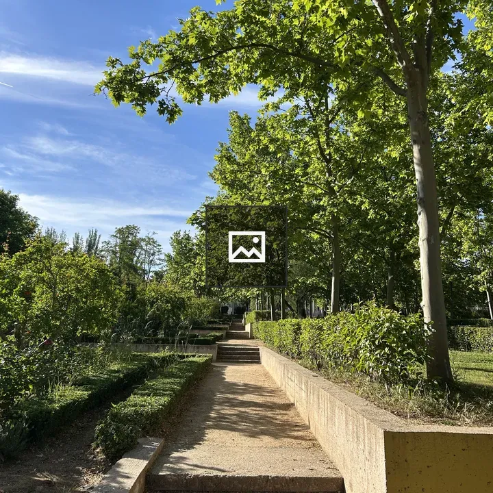 Stone Pathway Through Garden