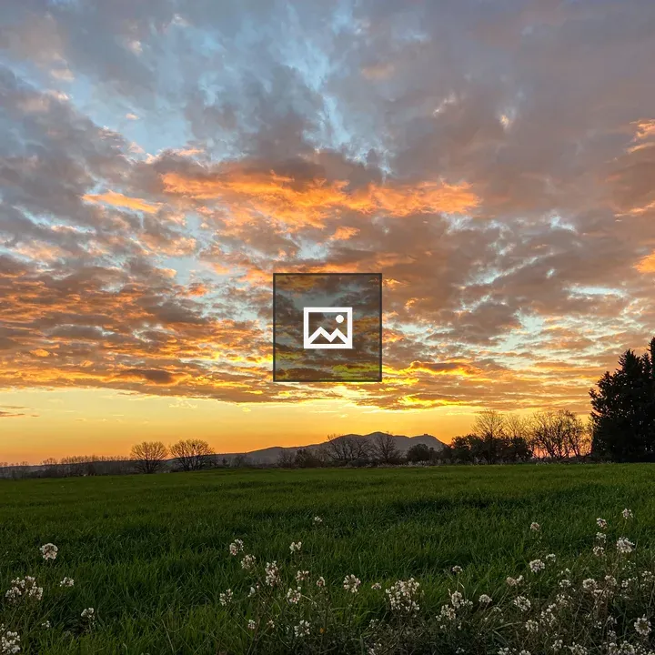 Sunset over grassy field with flowers