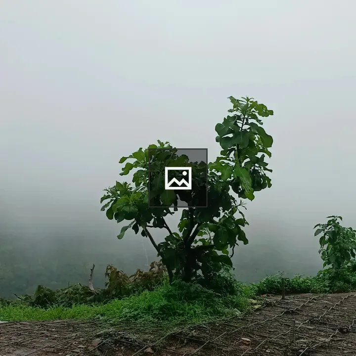 Khandala Nature Portrait