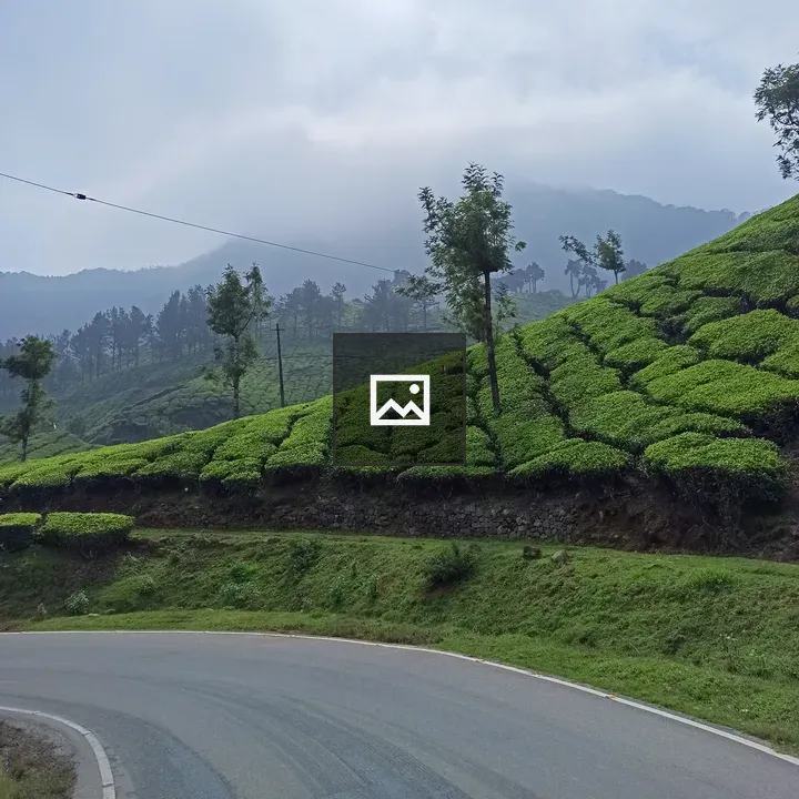 Kannan Devan Hills Village Scene