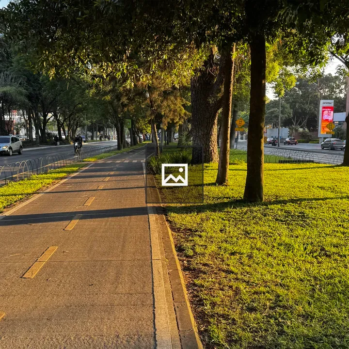 Sunlit Pathway with Trees