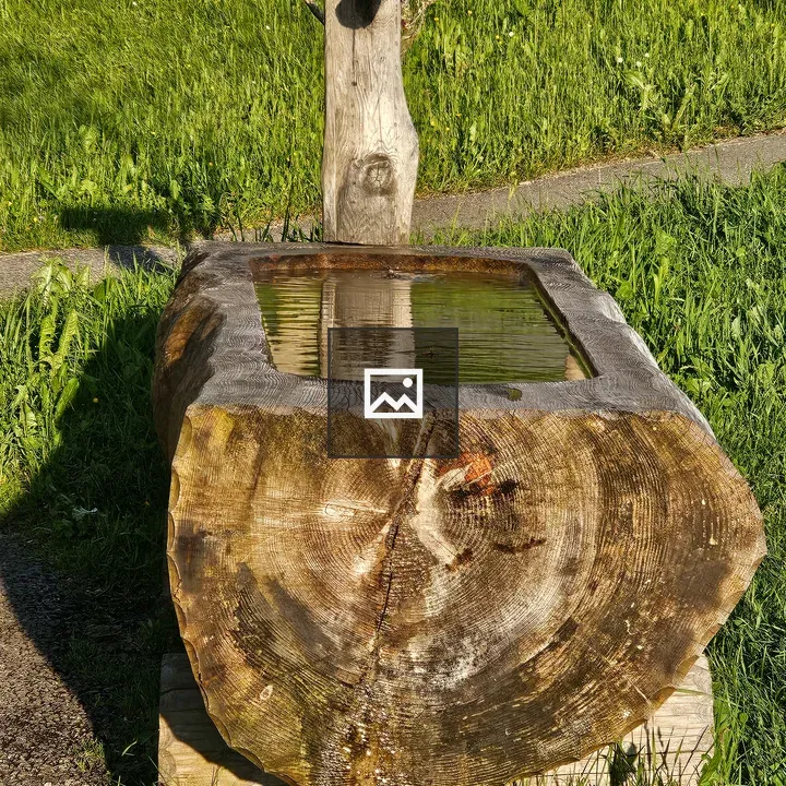 Outdoor water spout and trough