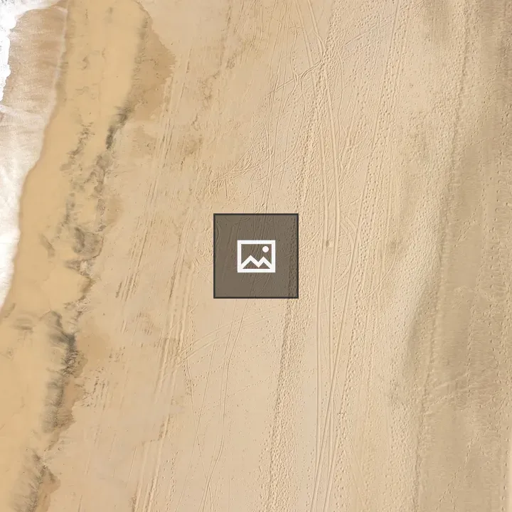 Aerial view of camels on shore