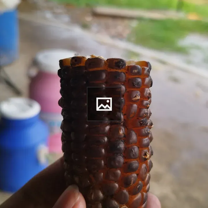 Close-up of fire-roasted corn