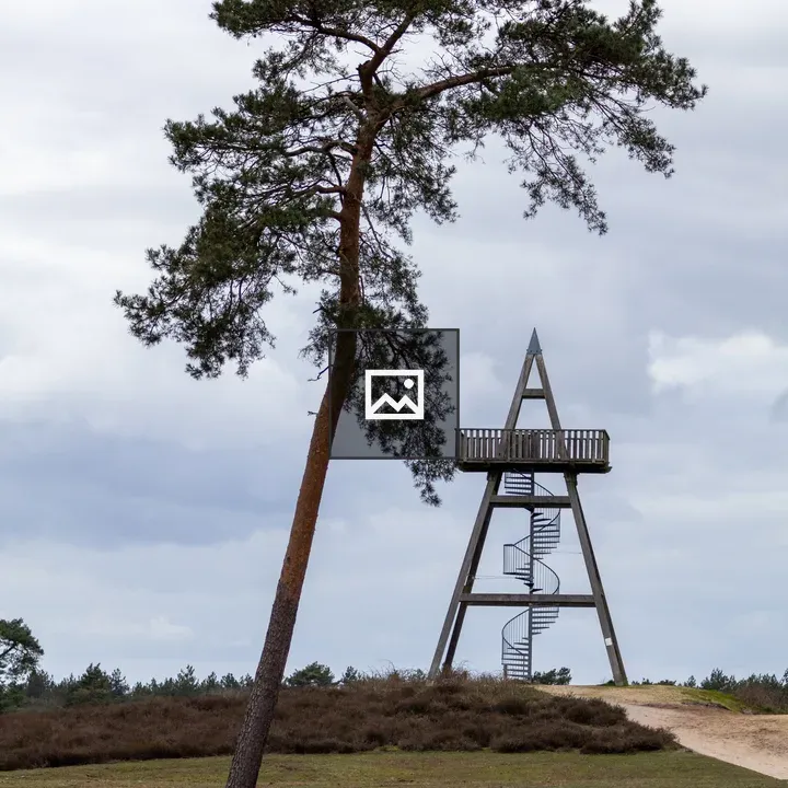 Watchtower and Tree in Heath Reserve