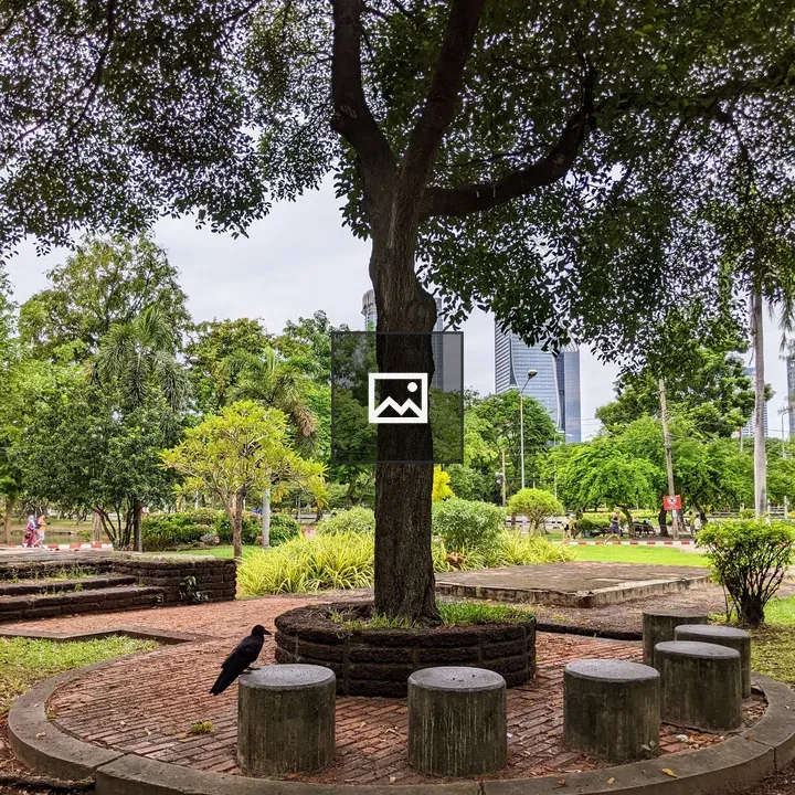 Tree and Bird in Lumphini Park