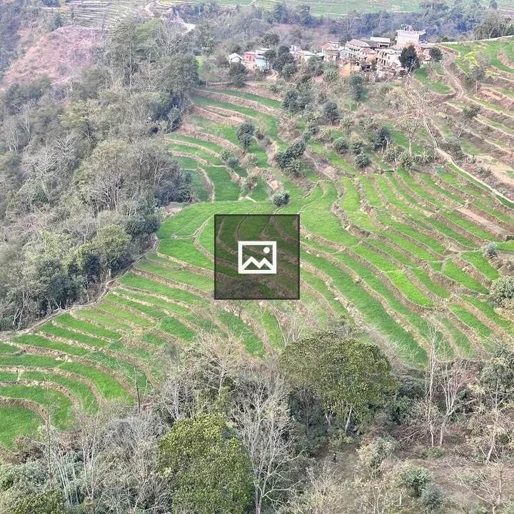 Terraced hillside fields in Nepal