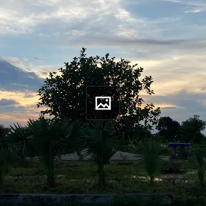 Silhouette Tree at Sunset