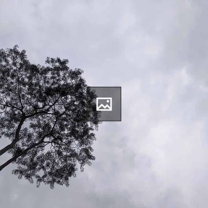 A cloudy day under the tree