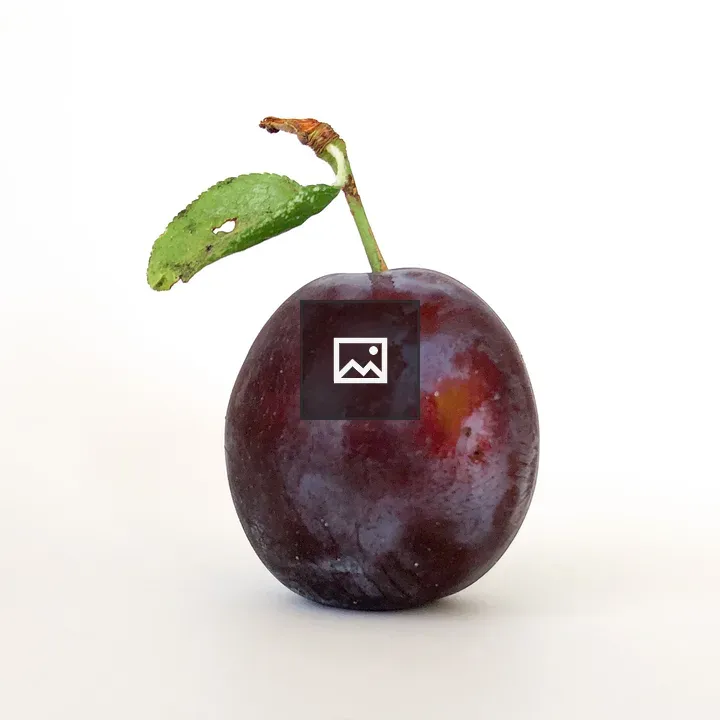 Plum on White Background