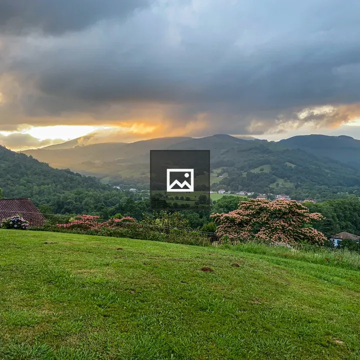 Lush green landscape at sunset