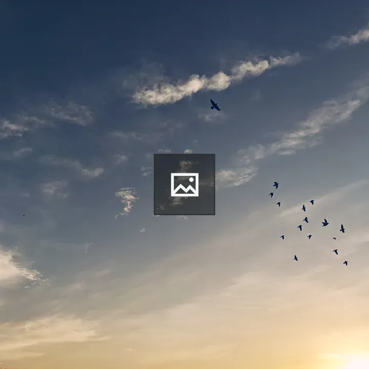 Bird silhouette at dusk