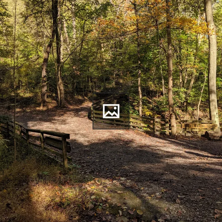 A walking path in the woods