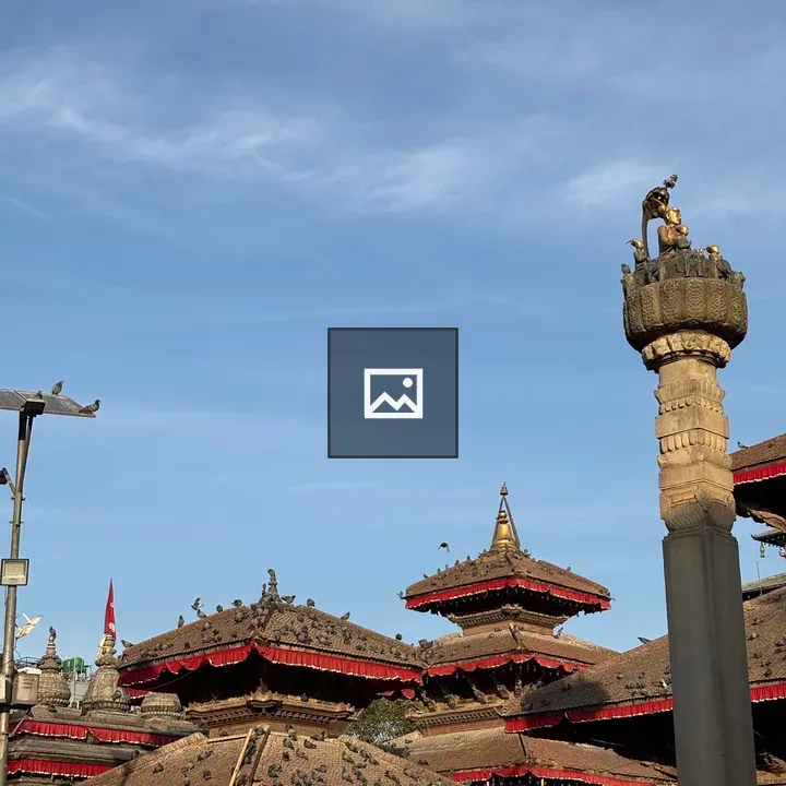 Pigeons on Nepalese temple roofs