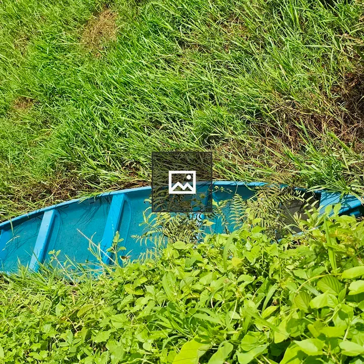 Blue Boat in Wetland