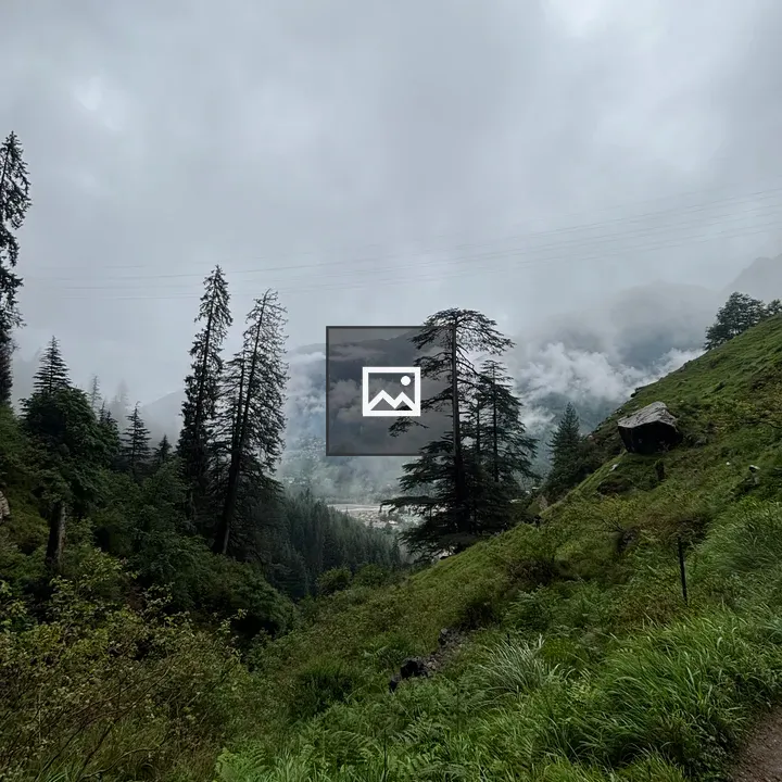 Manali hill view