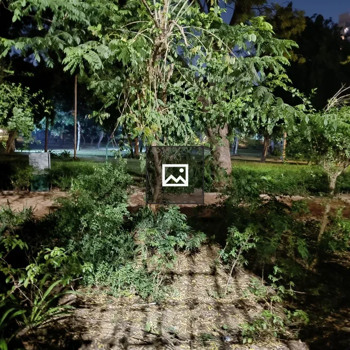 Garden at night