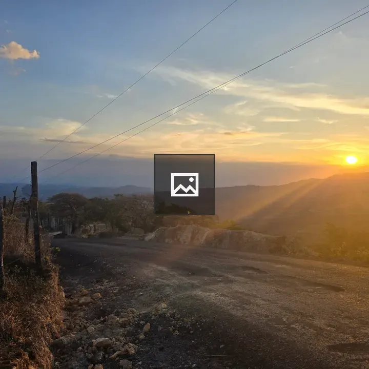 Sunset along a rural road