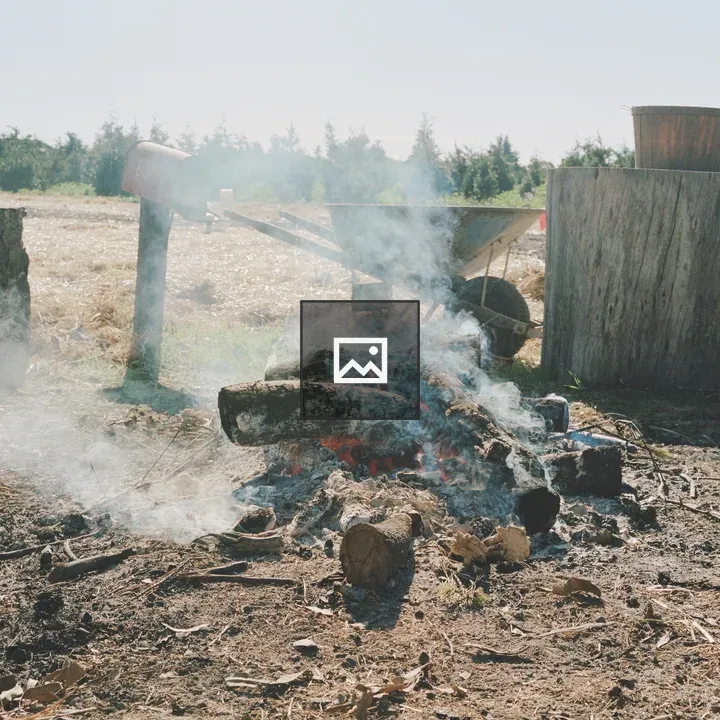Campfire and Smoke