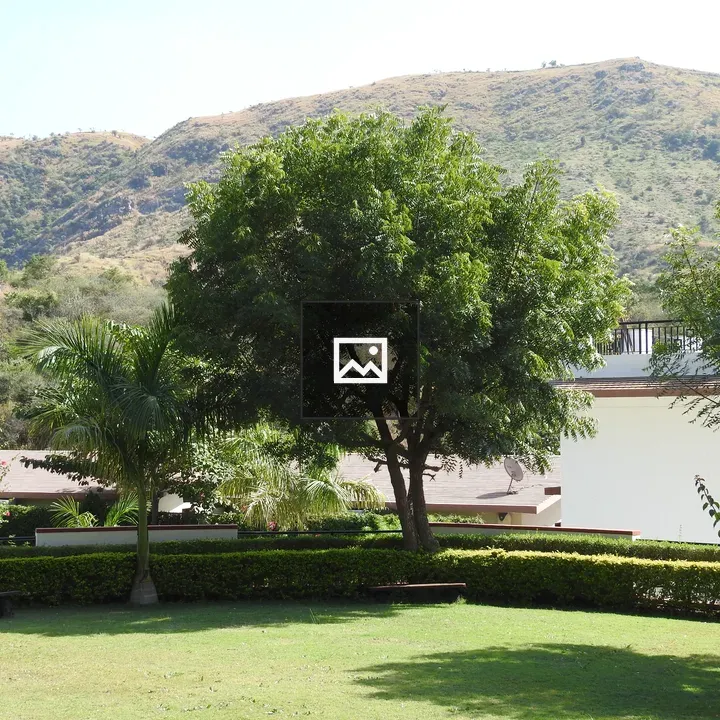 Lawned Hillside Landscape